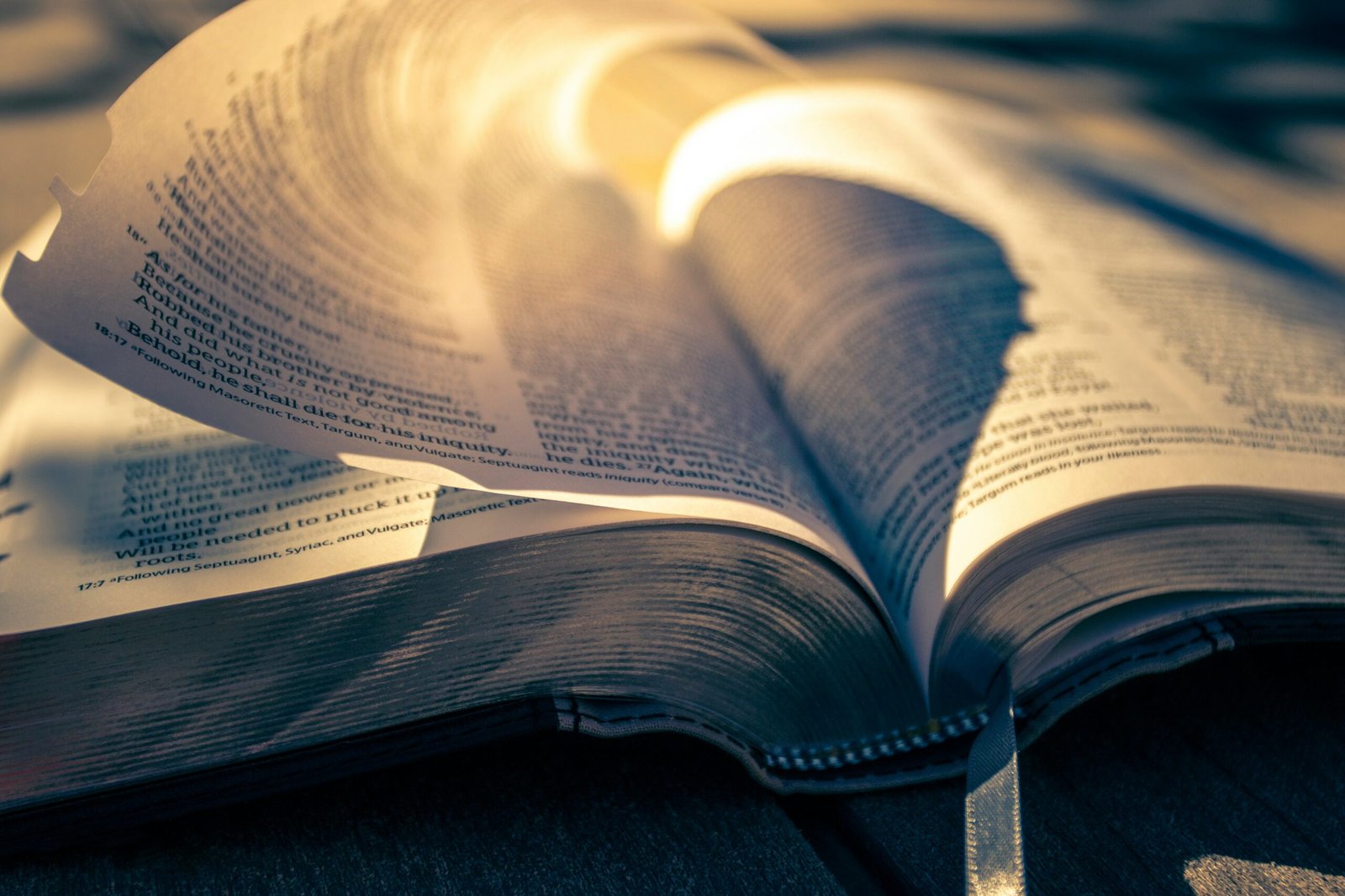 Exploring Scripture: Why Do I Need Biblical Hermeneutics?